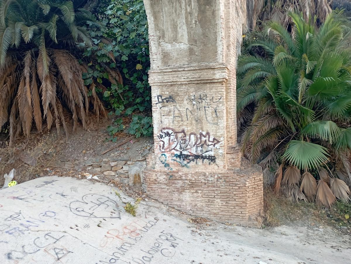 Pintadas-en-el-BIC